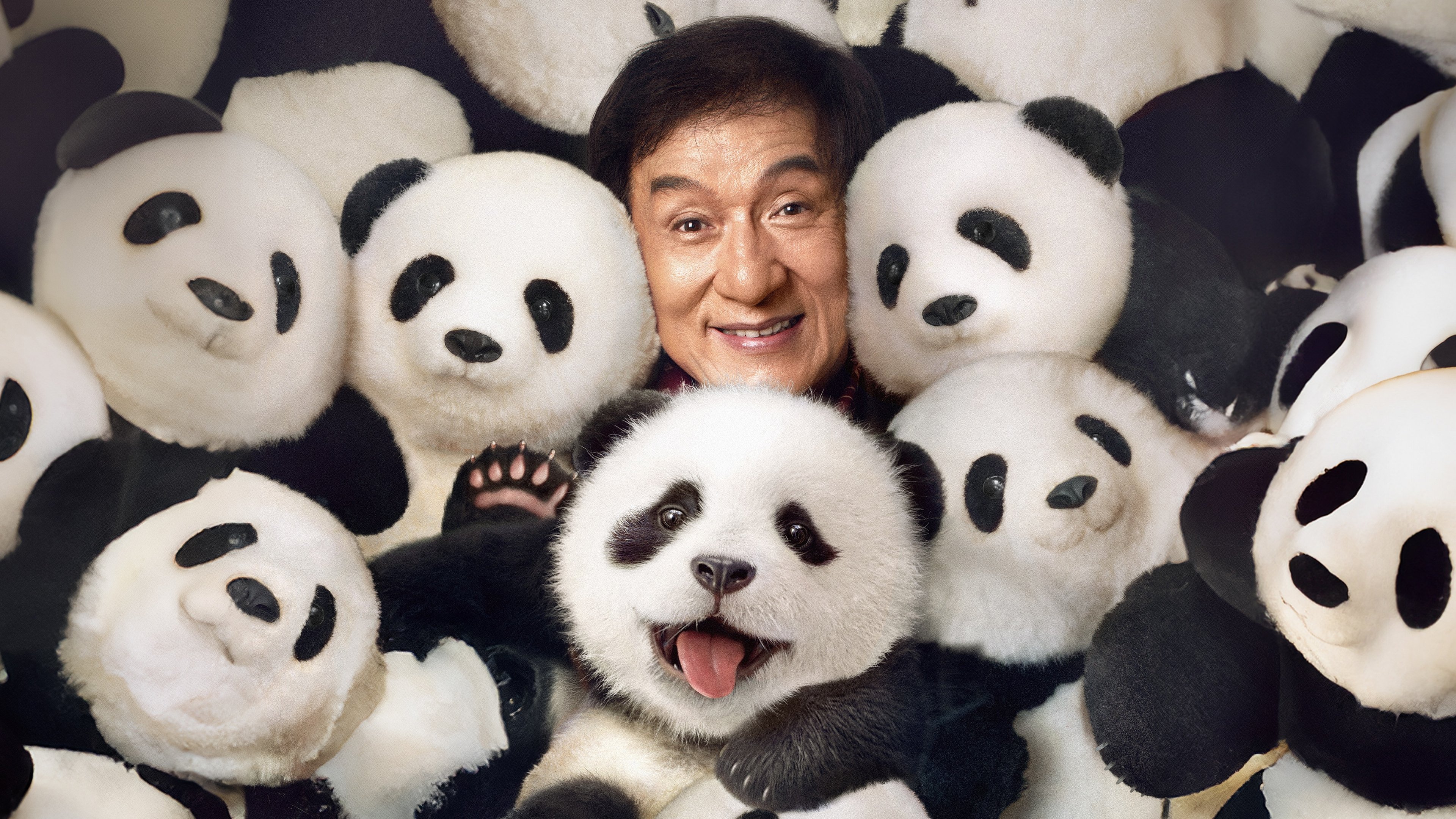 Kế Hoạch Panda