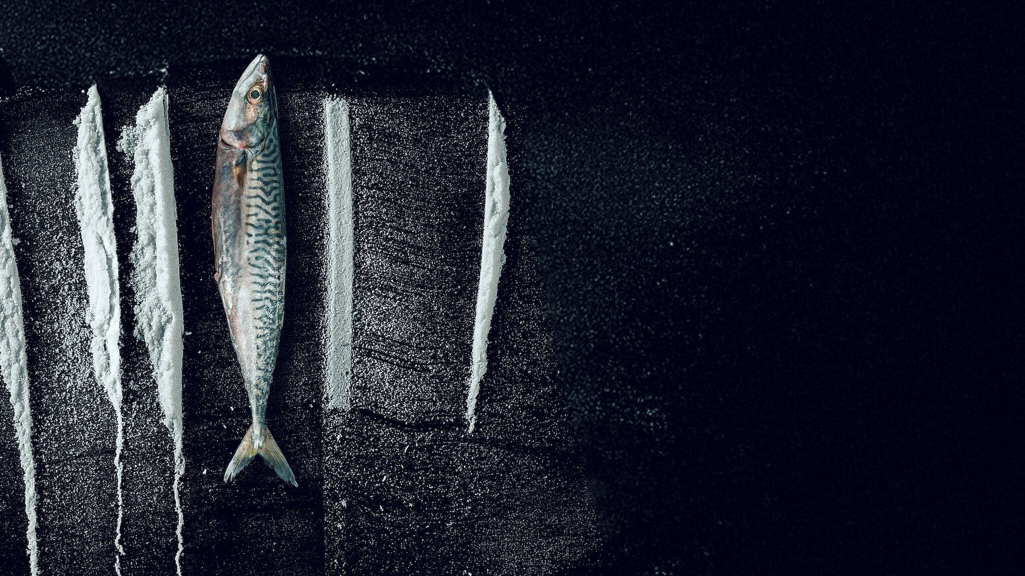 Sóng Triều Đổi Vận: Câu Chuyện Siêu Thực Về Rabo De