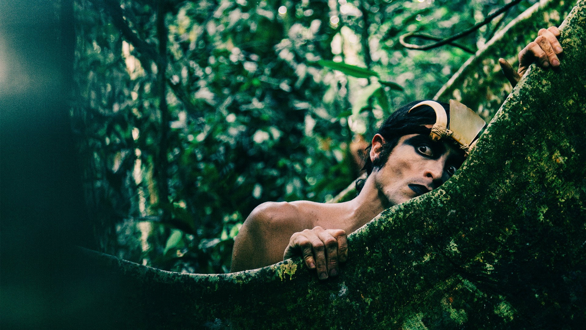 Dòng Máu Latinh: Bản Ballad Của Ney Matogrosso