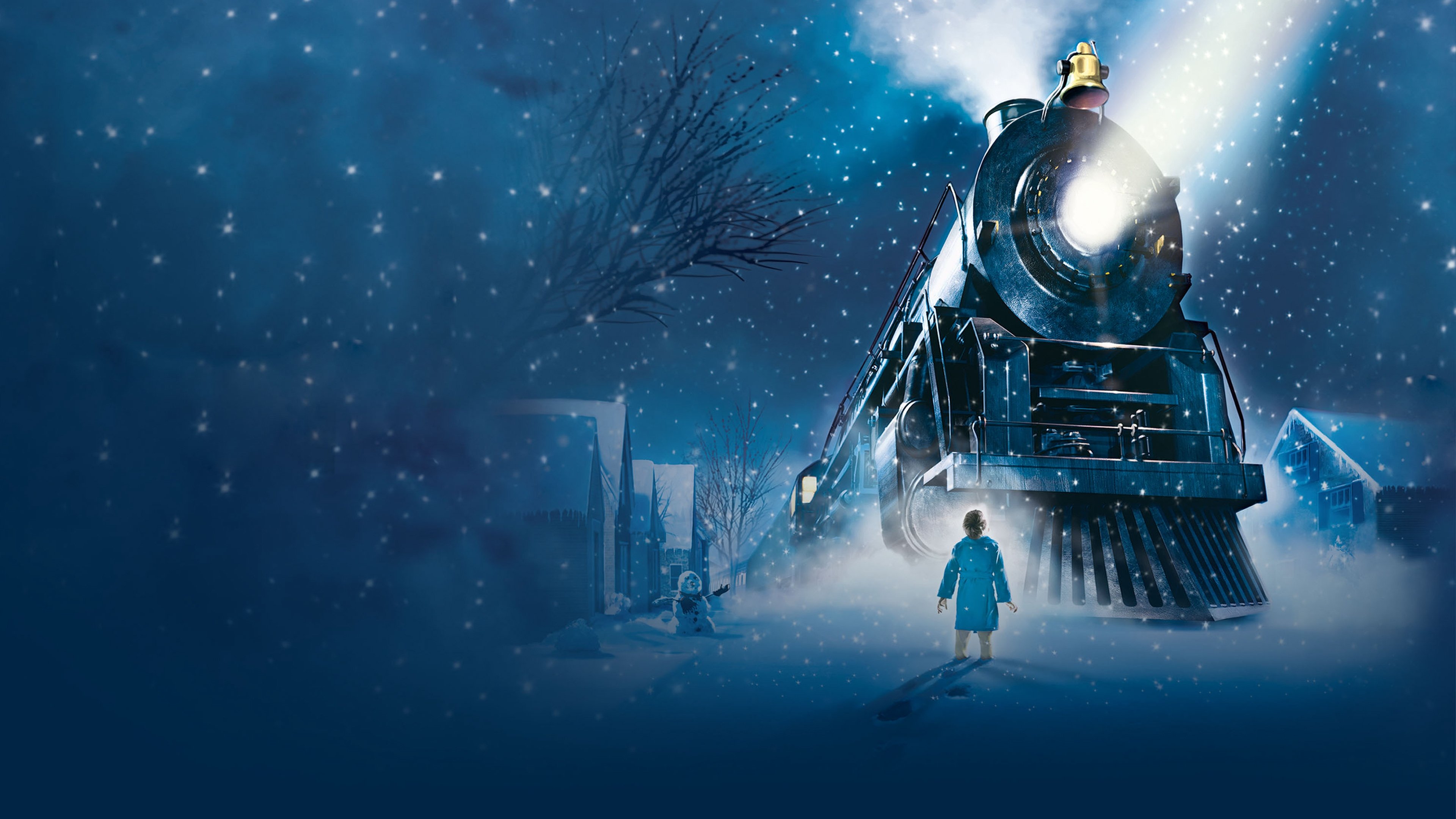 Elmira Express