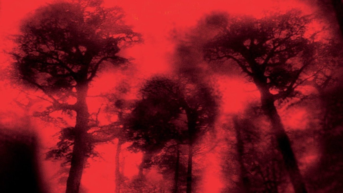 Trạm Dừng Tử Thần