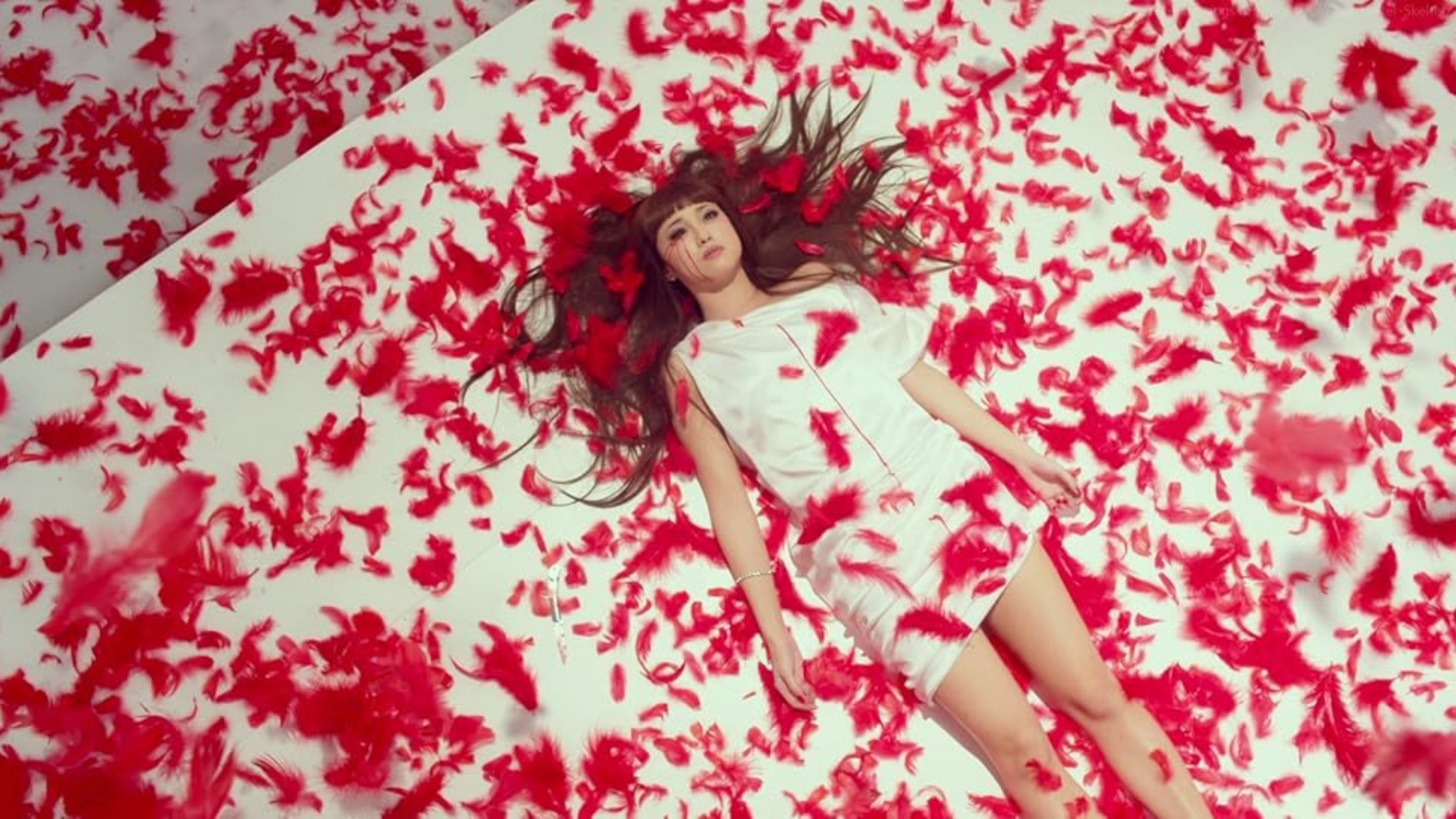 Sắc Đẹp Phai Tàn