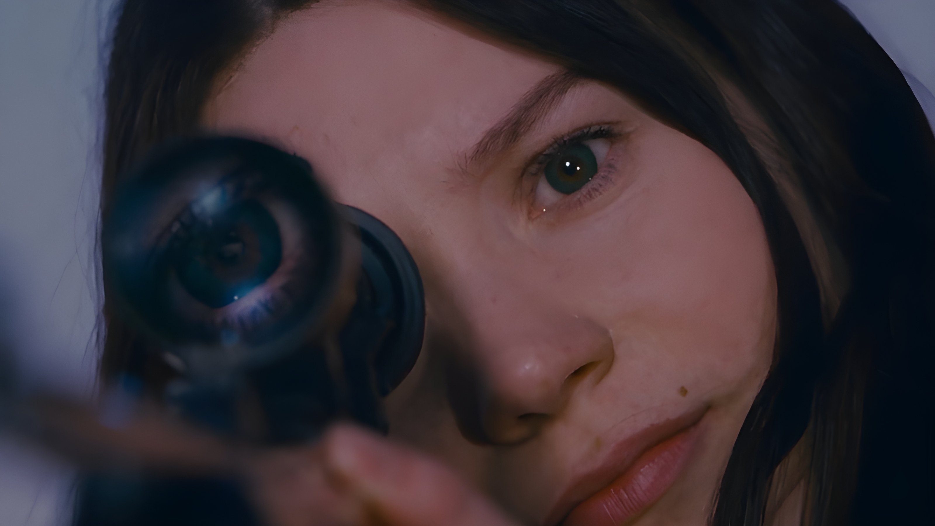 Kẻ Đốt Lò (Kẻ Sát Nhân)