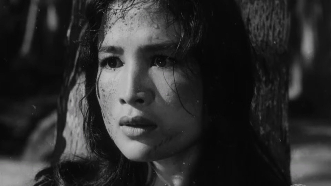 Vĩ Tuyến 17 Ngày Và Đêm